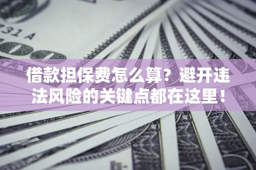 济南借款担保费怎么算？避开违法风险的关键点都在这里！