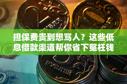 济南担保费贵到想骂人？这些低息借款渠道帮你省下冤枉钱