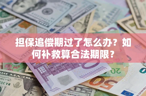济南担保追偿期过了怎么办？如何补救算合法期限？