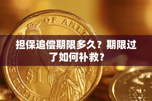 济南担保追偿期限多久？期限过了如何补救？