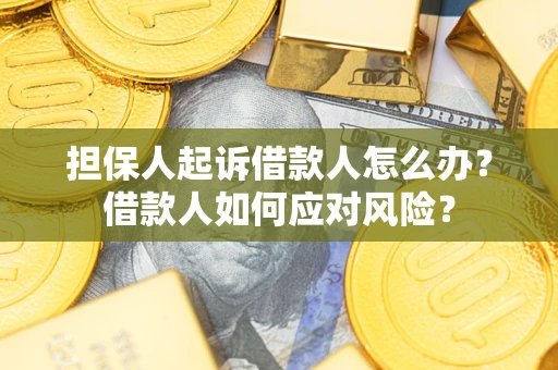 济南担保人起诉借款人怎么办？借款人如何应对风险？